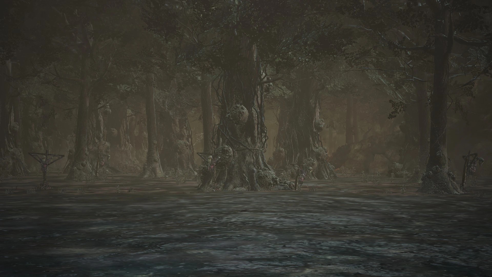 Ядовитое болото.