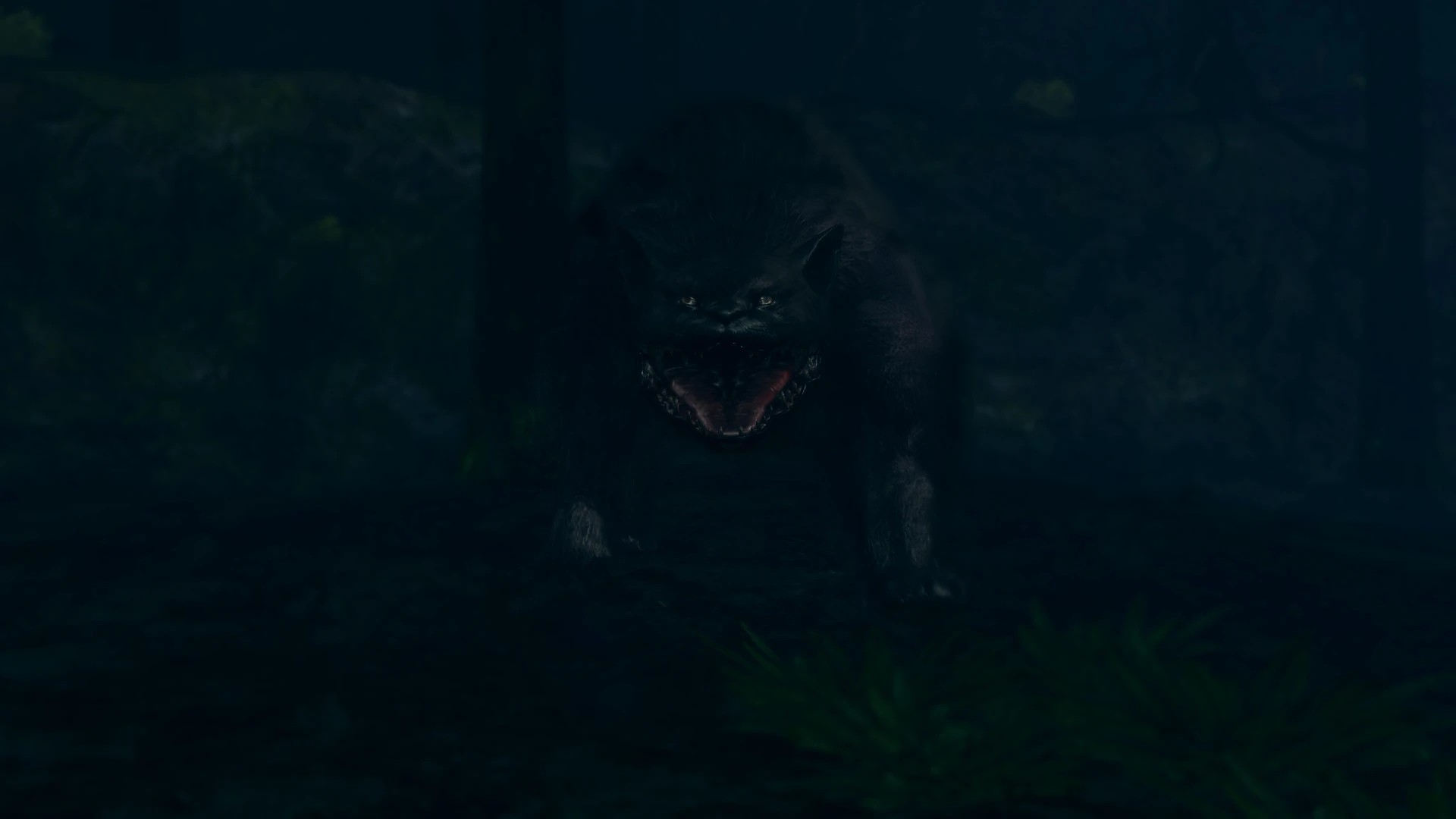 DARKSOULS 2017-07-21 16-43-35-002.jpg