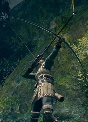 Черный лук.