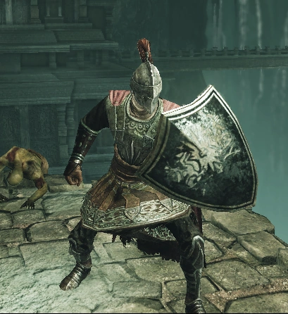 Drangleic Shield.png
