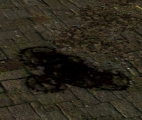 Кровавое пятно после смерти другого игрока