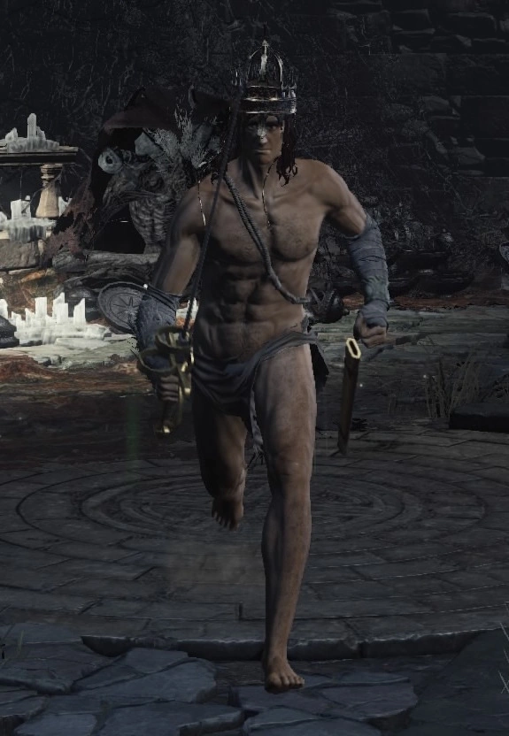 Чемпион рапир