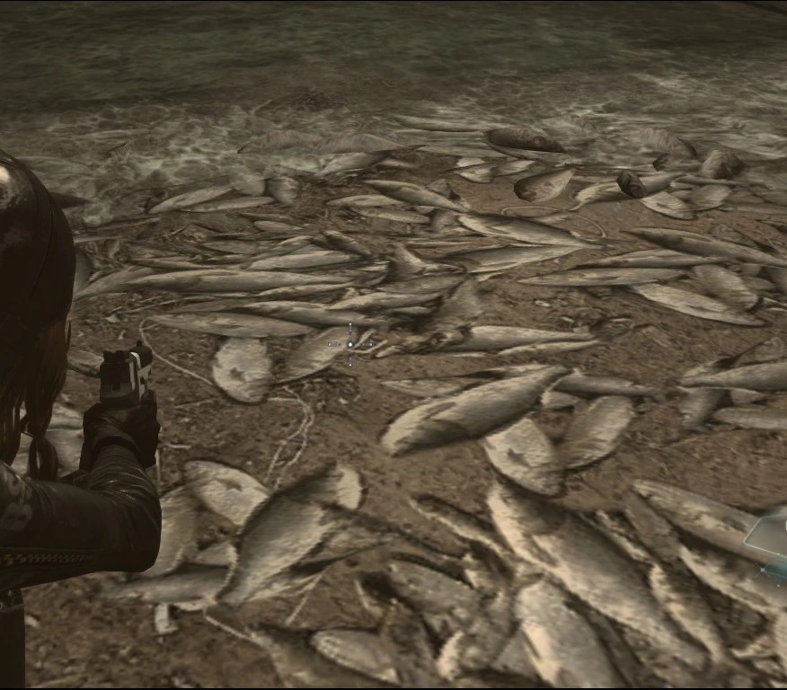 Мёртвая рыба