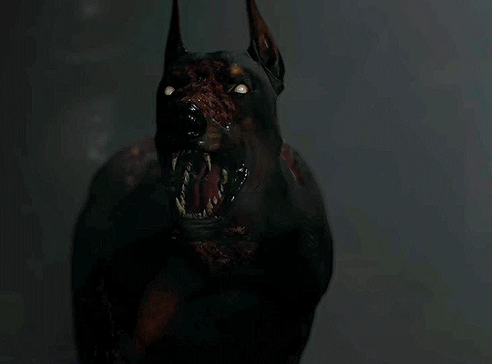 Собака подбирается к Леону на парковке.