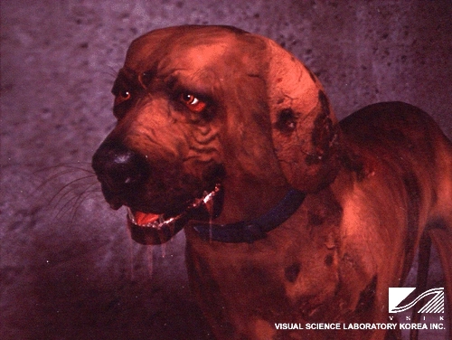 Лабрадор из <em>Biohazard 4D-Executer</em>